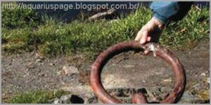 Anéis Gigantes de 30 milhões de anos da Bósnia ? 1 Argola pre histórica