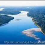 Amazônia roubo água o roubo da água doce do brasil.