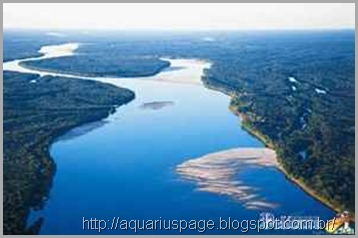 Amazônia roubo água o roubo da água doce do brasil.