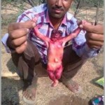 Mini Alienigena India mini-criatura humanoide alienígena que vive no subsolo é encontrada na índia.