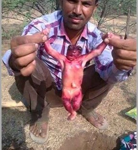 Mini Alienigena India mini-criatura humanoide alienígena que vive no subsolo é encontrada na índia.