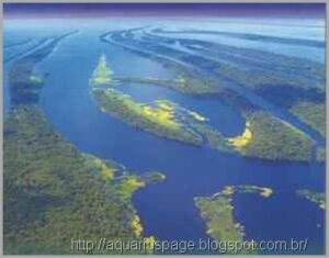 Hidropirataria - Estão roubando nossa água com navios mercantes 3 Roubo água potavel brasil
