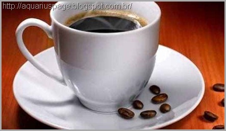 Cafeomancia: Clarividência através do Café