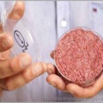 Carne Humana Mcdonald carne humana encontrada em fábricas de carnes do mcdonald nos eua.