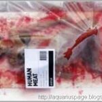 Carne humana mcdonalds carne humana nos mcdonalds.
