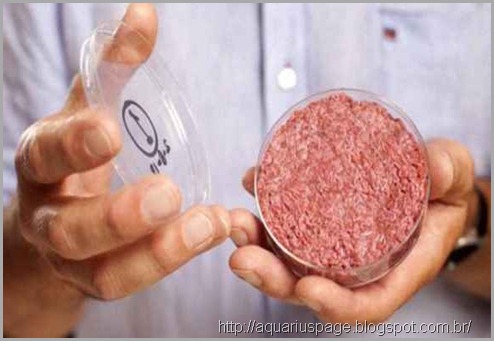 Carne humana encontrada em Fábricas de Carnes do McDonald nos EUA