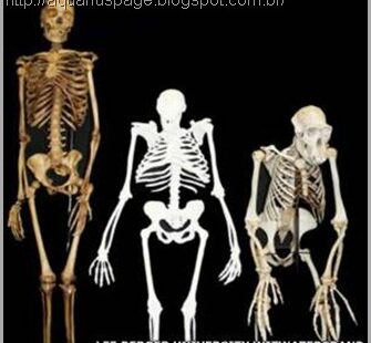 Esqueleto evolucao homem macaco pés torcidos.