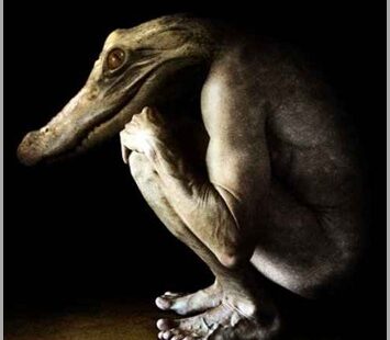 Híbrido jácara humano híbridos de pessoas e de animais: a catástrofe dos nossos dias.