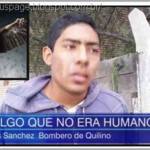 Humanoides Asas Argentina humanoide encapuzado e com asas é visto numa cidade argentina.