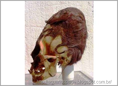 Cranios Alongados Paracas análise do dna dos crânios alongadas de paracas lançam incríveis resultados.