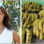 Mulher Comeu Banana 12 Dias Beneficios uma mulher comeu apenas banana por 12 dias; veja o que aconteceu.