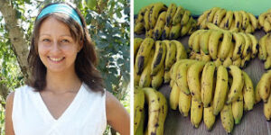 Uma mulher comeu apenas banana por 12 dias; veja o que aconteceu 2 Múlher comeu banana 12 dias beneficios1