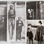 Smithsonian Esquelestos Gigantes Destruidos smithsonian admite a destruição de milhares de esqueletos gigantes no início de 1900.