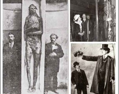 Smithsonian Esquelestos Gigantes Destruidos smithsonian admite a destruição de milhares de esqueletos gigantes no início de 1900.