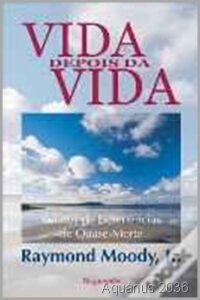 Vida depois vida