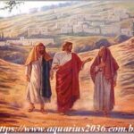 trabalhadores seara jesus 7
