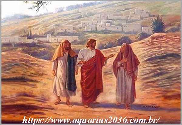 trabalhadores seara jesus 7
