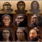 Anunnaki manipularam gen humano a evolução e aparecimento do homem.