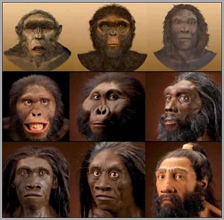 Anunnaki manipularam gen humano a evolução e aparecimento do homem.