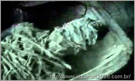 Projeto Isis: Um Extraterreno Mumificado descoberto pela KGB em 1961
