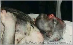 Alienígenas greys e humanos em guerra na base de Duce em 1979 6 Corpo Phil Schneider
