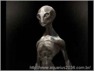 6 espécies extraterrenas que atualmente lutam pelo controle da terra 5 Extraterrestrês Greys Altos