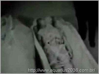 Sarcofago múmia alienígena o projeto isis.