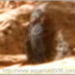 Figura Humana Marte uma estátua humana perfeita encontrada em marte (vídeo).