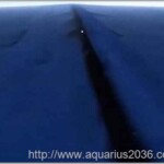 Parede Subaquatica Circula Planeta misteriosa parede subaquática, que cobre todo o planeta.
