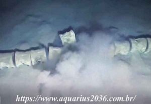 Mistérioso esqueleto gigante fundo mar 1