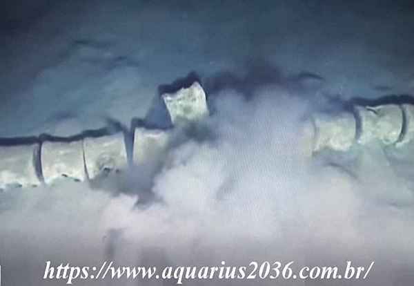 Misterioso esqueleto de 30 metros encontrado no fundo do mar Mediterrâneo